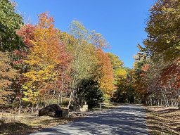 More Fall colors